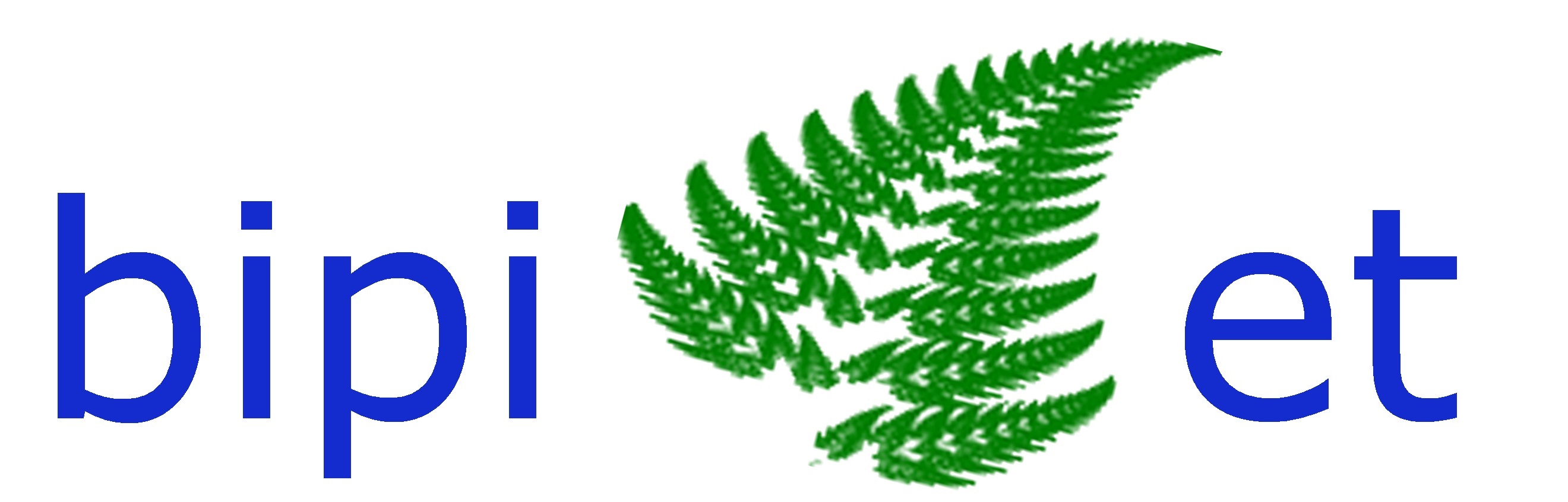 fern